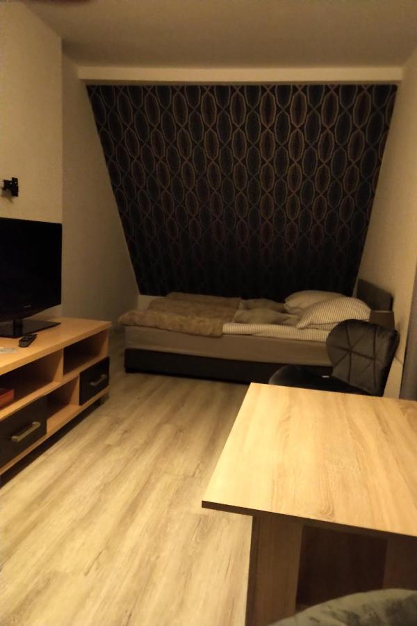 Willa Gorzow-Spokojna Okolica! Gorzów Wielkopolski Extérieur photo